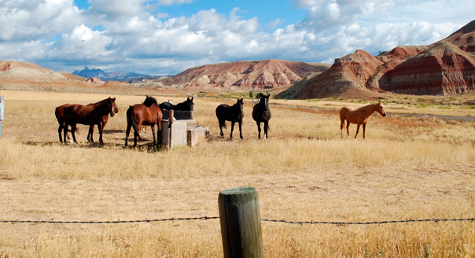 1. Wyoming