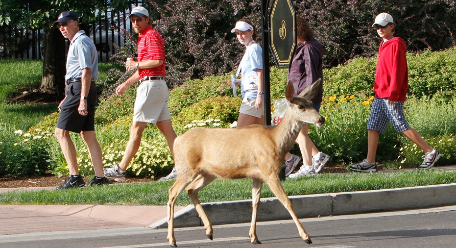 GOLF-LPGA