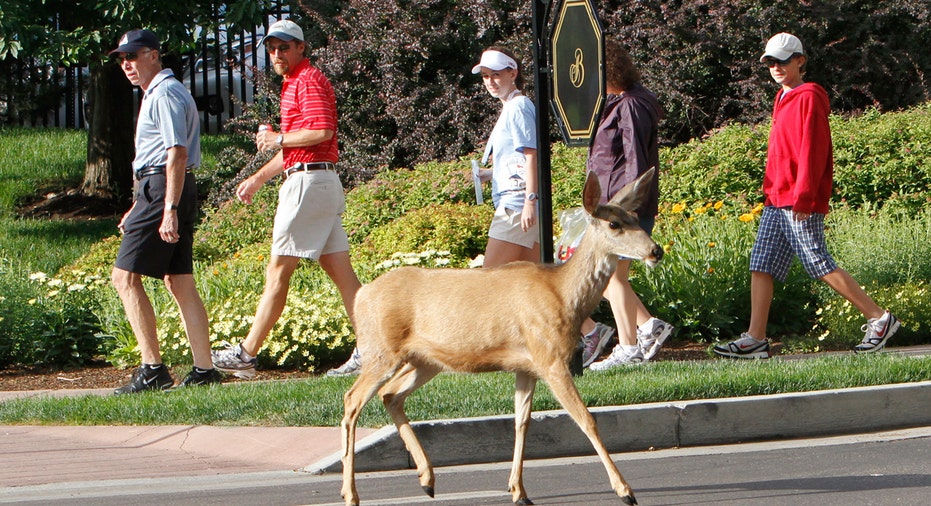 GOLF-LPGA