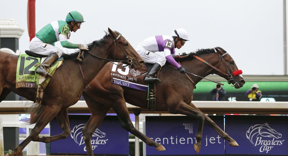 Nyquist Breeders Cup horse racing FBN