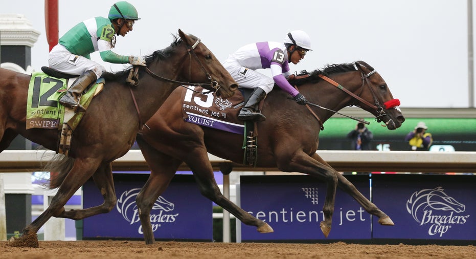 Nyquist Breeders Cup horse racing FBN