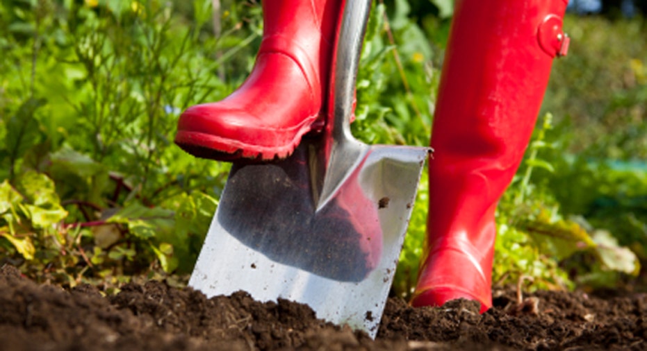 Digging With Red Boots