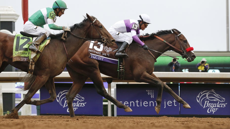 Nyquist Breeders Cup horse racing FBN