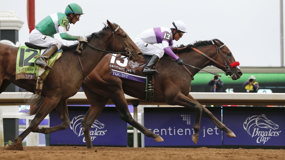 Nyquist Breeders Cup horse racing FBN