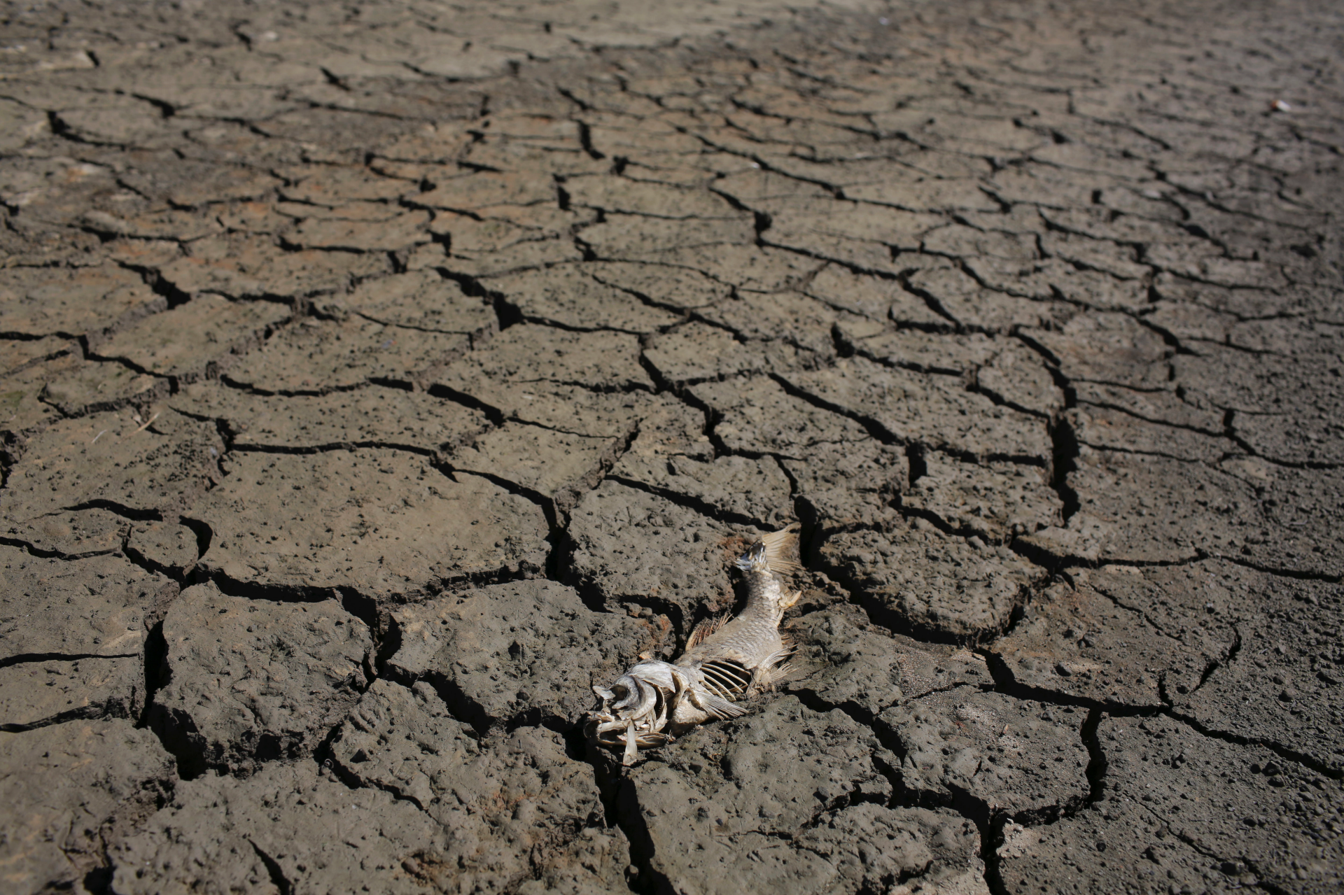 Portugal faces dire drought, the worst in more than 20 years Fox Business
