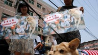 China's dog meat festival opened this week to protests...and profits