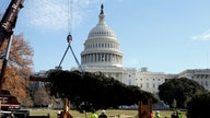 Trump to light National Christmas tree Thursday as Rockefeller Center, Capitol Hill & LA trees ring in season