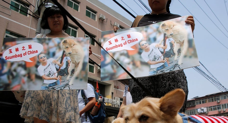 CHINA-DOGMEAT/