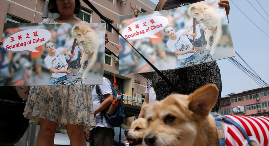 CHINA-DOGMEAT/