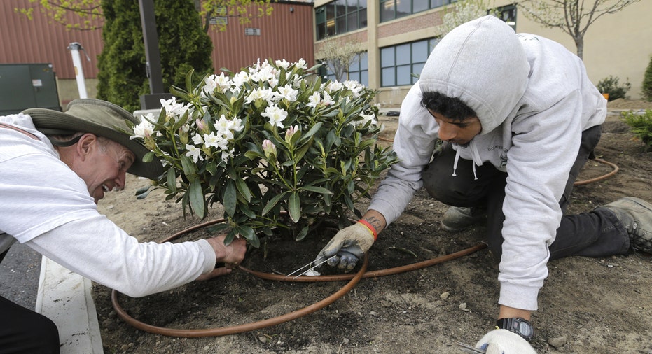 Gardener small business nursery FBN AP