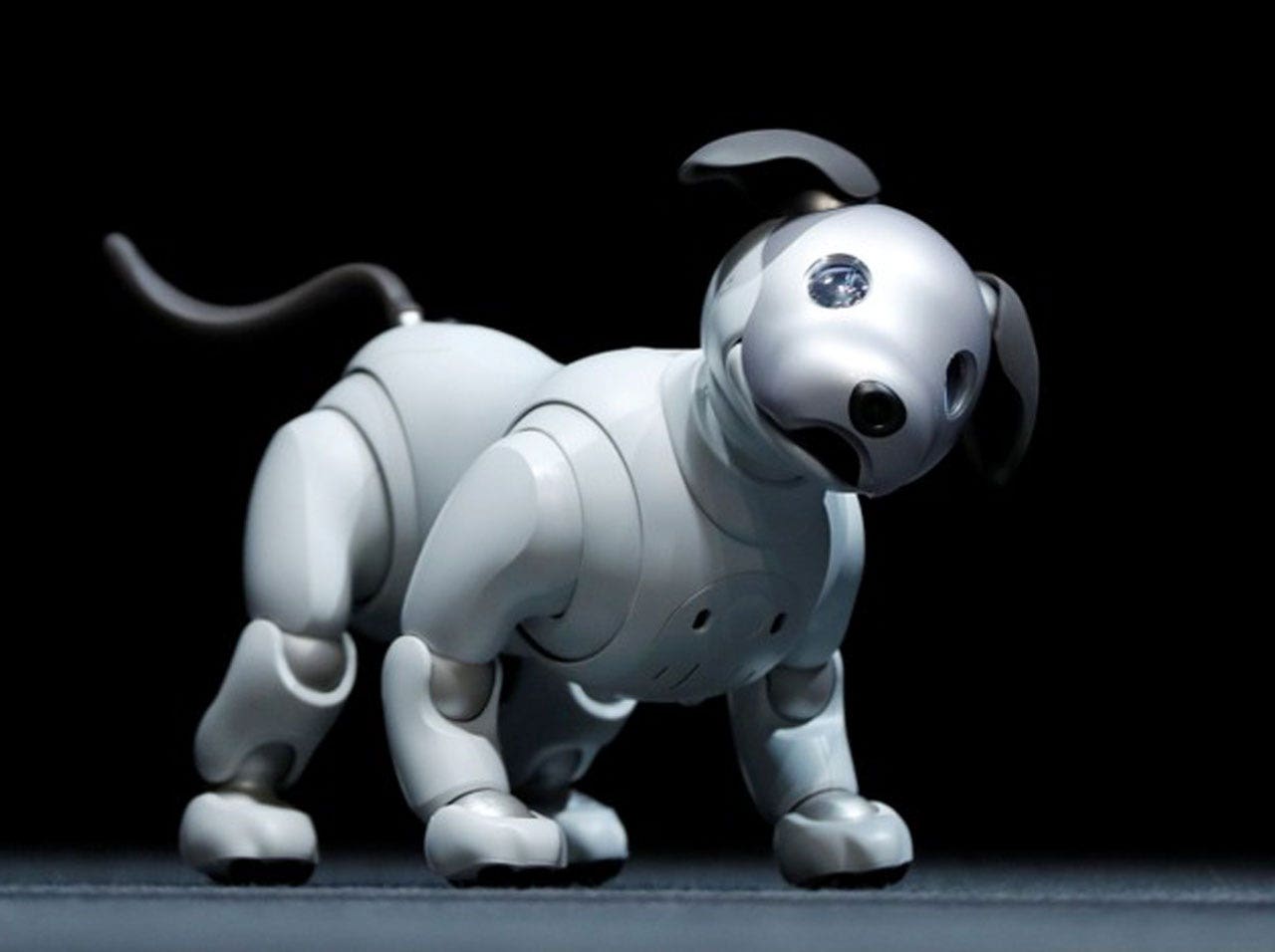 Robot dog puppy store