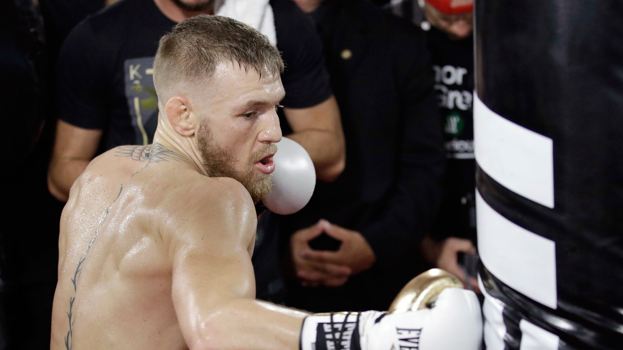 Conor mcgregor outlet boxing gloves