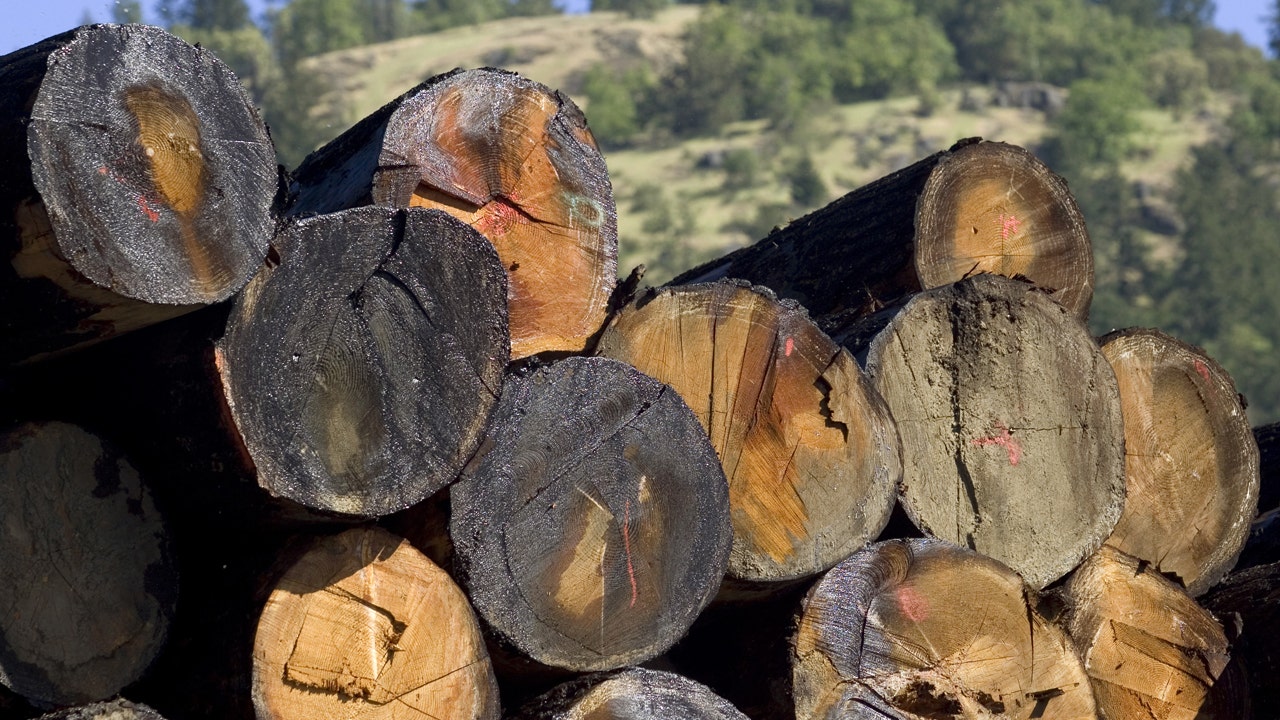 Weyerhaeuser, Plum Creek Merge in Deal Valued at 23B Fox Business