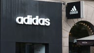 Adidas CEO says sales grew 15-20 pct in 2017