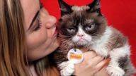 Grumpy Cat snatches lump of cash in California court