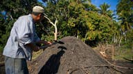 Artisanal charcoal to become 1st Cuban export to US