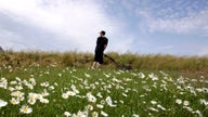 High school student makes six figures mowing lawns