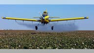 California tightens rule on popular pesticide, citing health