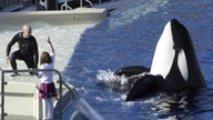 SeaWorld misses Street 3Q forecasts