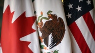 NAFTA negotiations could exempt Canada, Mexico from tariffs: Peter Navarro