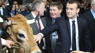 Angry French farmers boo President Macron at Paris ag fair