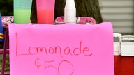 UK girl fined $195 for selling lemonade without a license