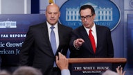 Mnuchin, Cohn field New York GOP concerns in late night call ahead of tax reform final plan