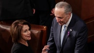 Steve Moore: Pelosi, Schumer hate 'tax cuts for the rich' except for Tesla, GM electric vehicle drivers