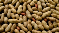 Peanuts and farmers trying to avoid striking out with baseball coronavirus bans