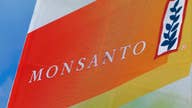 Germany's Bayer raises offer for Monsanto again