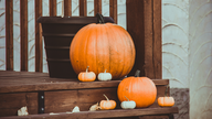 Nicole Kaeding: Tax this but not that at Halloween, depending on where you live -- There is a lesson here