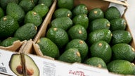 Soaring avocado prices coming down