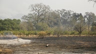 Wildfires ravage California's wine country
