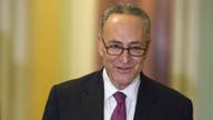 Schumer on Republican Obamacare Repeal: it's Their Responsibility