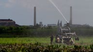 Irma batters Cuban sugar industry, crop