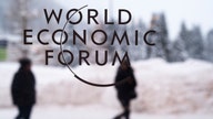 Putin banker denies estrangements with US at Davos: ‘Business as usual’