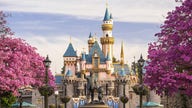 Alcohol is coming to Disneyland