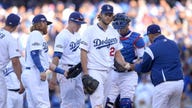 Dodgers Oust Nationals to Advance Against Cubs