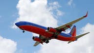 Southwest sues mechanics as flight cancellations mount