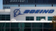 FAA should not have grounded Boeing 737 Max jets, former government official says