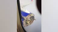 Engine blade on Southwest jet showed signs of cracking