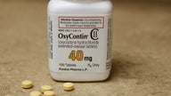 OxyContin maker funneled $13B to Sacklers: Prosecutors