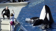 SeaWorld San Diego Ending Killer Whale Show