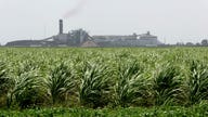 U.S., Mexico reach sugar deal, industry opposition mounts