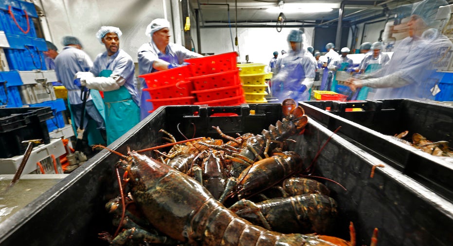 Lobsters, seafood FBN