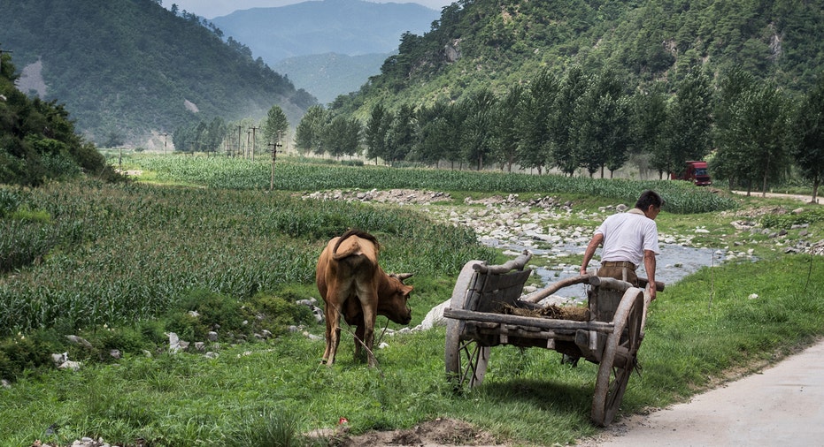 A farmer in North Korea 