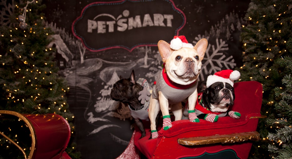 PetSmart recently launched its pawesome holiday collection! Check out these behind-the-scenes photos of the company's exclusive event.