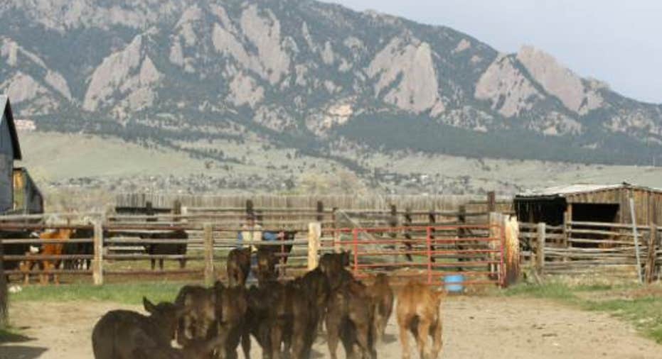 ColoradoFBN