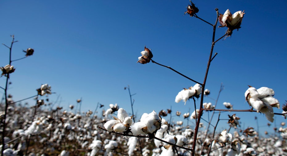 Cotton_Field_Birmingham_Alabama