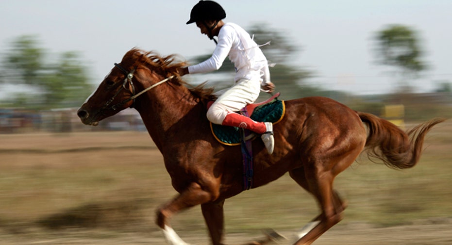 Horse Race, PF slideshow